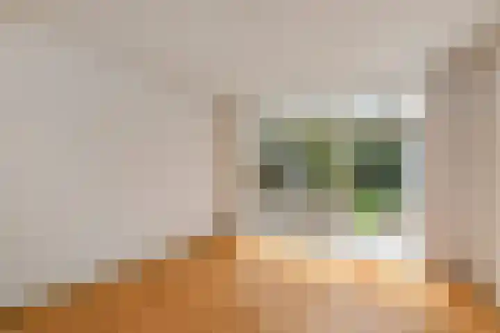 Aronskelkweg 192 Den Haag thumbnail 11