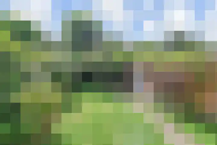 Aronskelkweg 192 Den Haag thumbnail 13