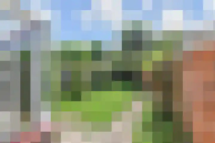 Aronskelkweg 192 Den Haag thumbnail 19