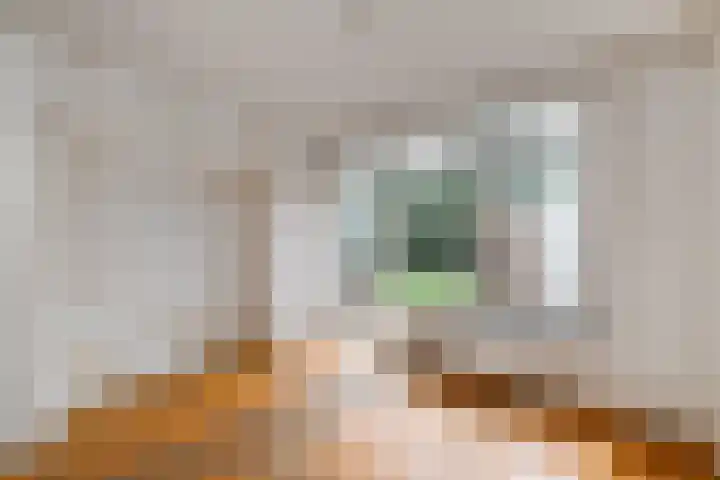Aronskelkweg 192 Den Haag thumbnail 27