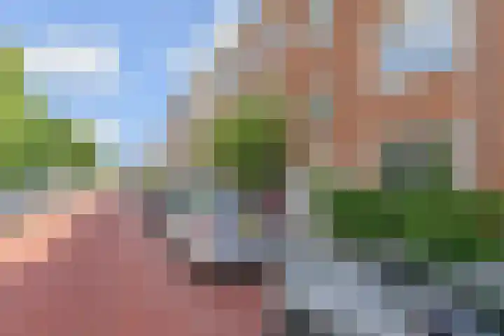 Aronskelkweg 192 Den Haag thumbnail 32