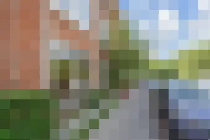 Aronskelkweg 192 Den Haag thumbnail 33