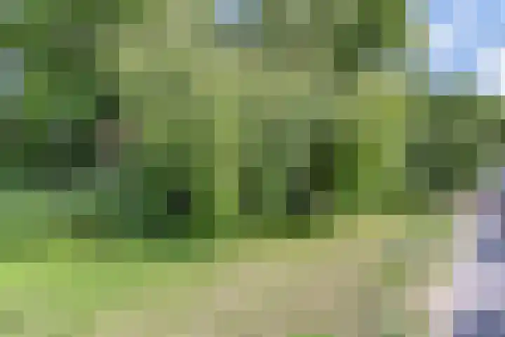 Aronskelkweg 192 Den Haag thumbnail 34