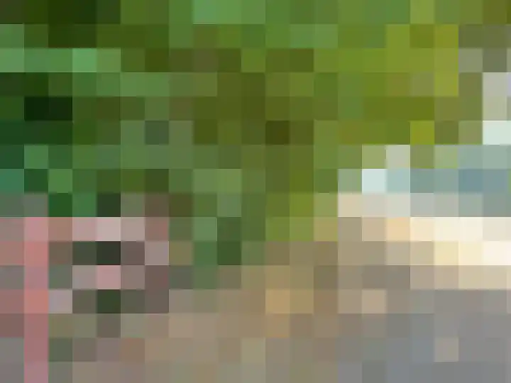 Aronskelkweg 192 Den Haag thumbnail 36