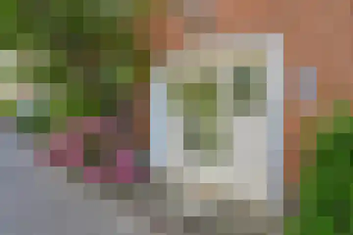 Aronskelkweg 192 Den Haag thumbnail 6