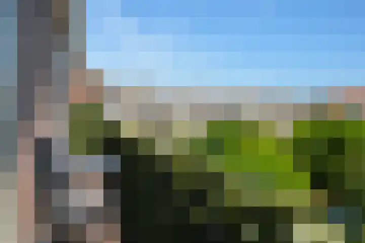 Aronskelkweg 196 Den Haag thumbnail 32