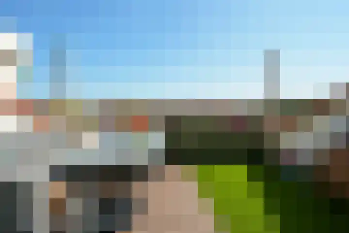 Aronskelkweg 196 Den Haag thumbnail 43