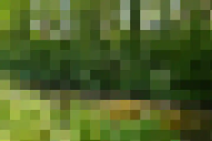Aronskelkweg 196 Den Haag thumbnail 54