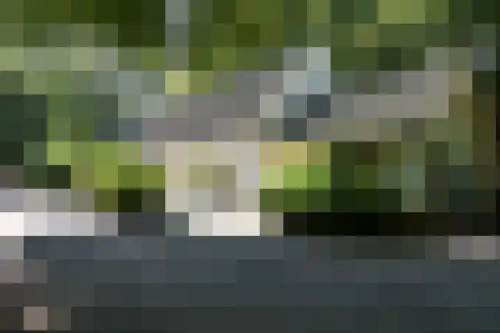 Aronskelkweg 196 Den Haag thumbnail 57