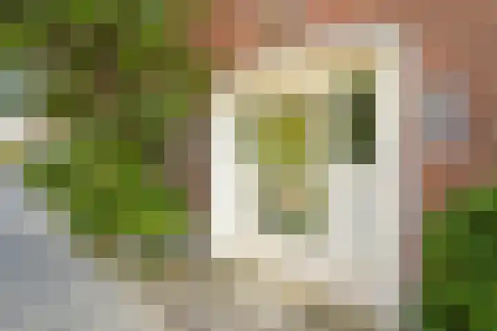 Aronskelkweg 196 Den Haag thumbnail 8