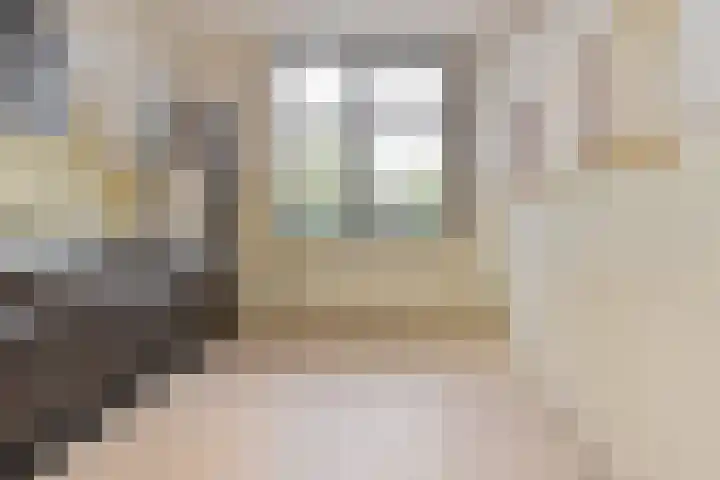 Aronskelkweg 222 Den Haag thumbnail 17