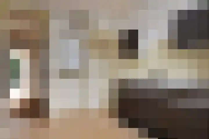 Aronskelkweg 222 Den Haag thumbnail 18