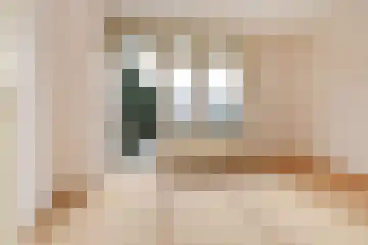 Aronskelkweg 222 Den Haag thumbnail 20