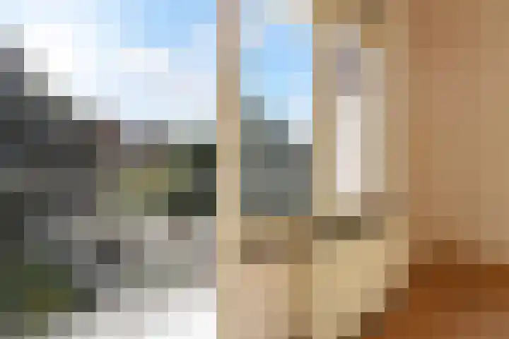 Aronskelkweg 222 Den Haag thumbnail 21