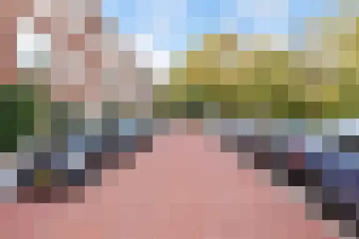 Aronskelkweg 222 Den Haag thumbnail 33
