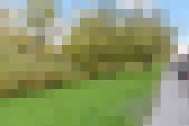 Aronskelkweg 222 Den Haag thumbnail 34