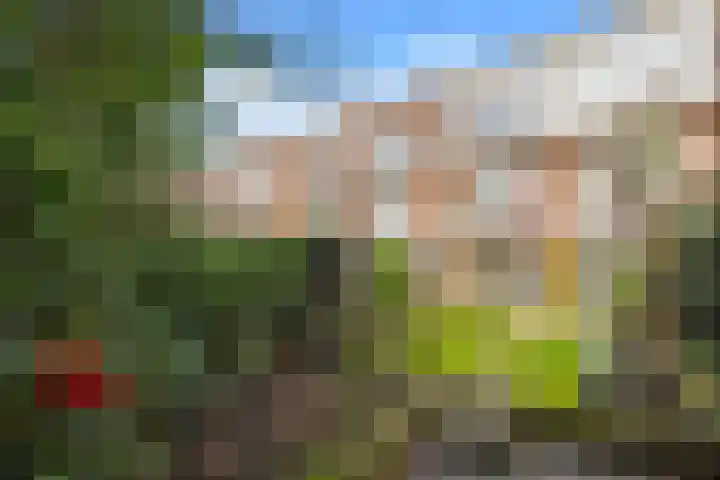 Aronskelkweg 226 Den Haag thumbnail 16