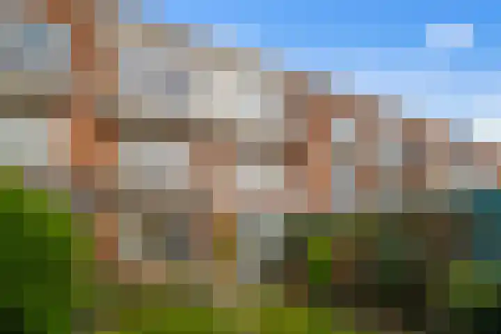 Aronskelkweg 226 Den Haag thumbnail 17
