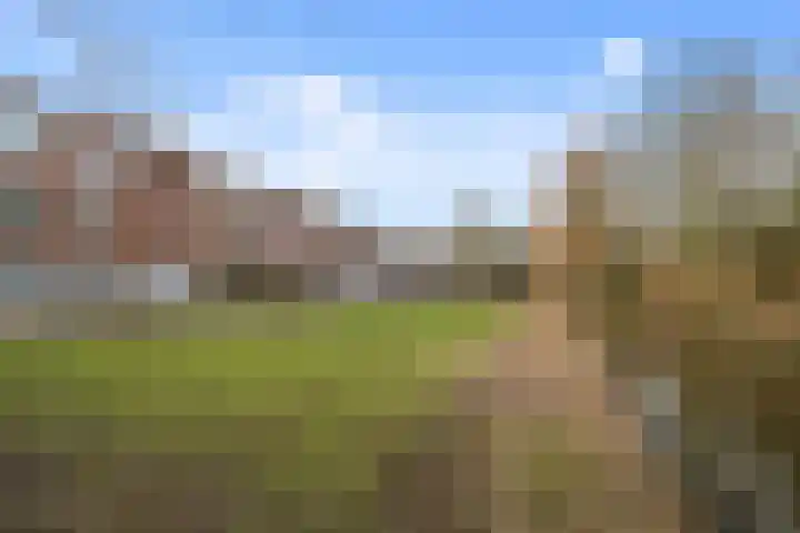 Aronskelkweg 226 Den Haag thumbnail 21