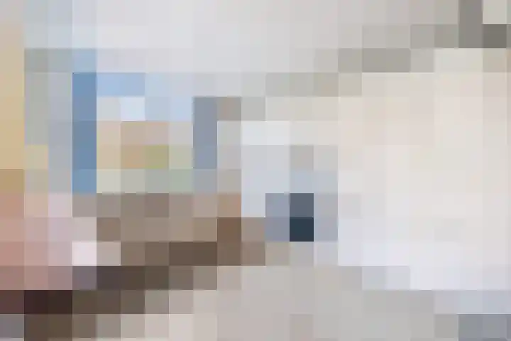 Aronskelkweg 226 Den Haag thumbnail 8