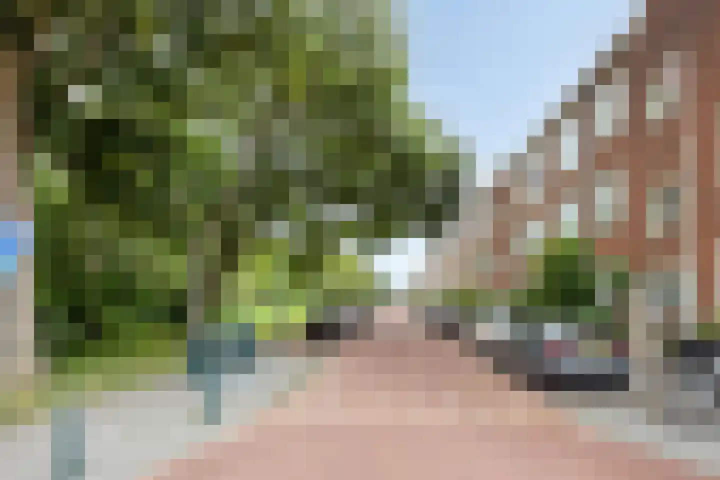Aronskelkweg 256 Den Haag thumbnail 27