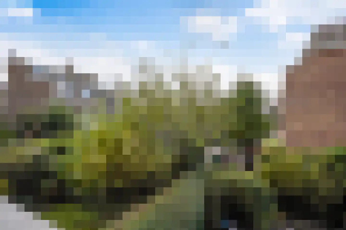Aronskelkweg 26 Den Haag thumbnail 15