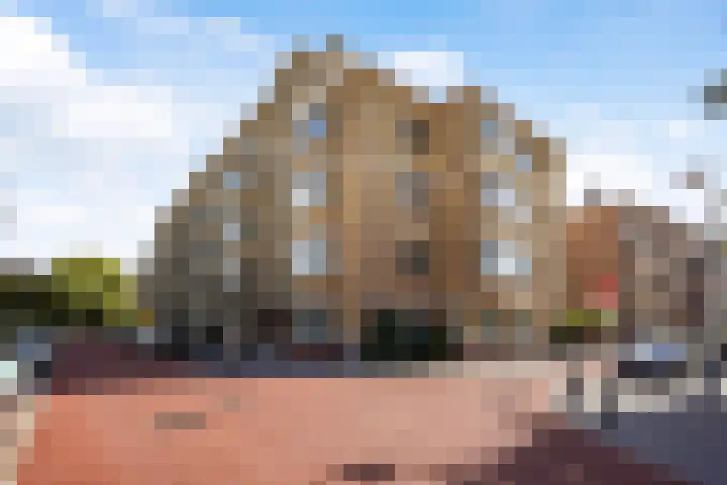 Aronskelkweg 26 Den Haag thumbnail 32