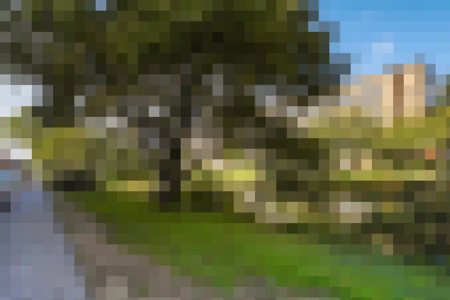 Aronskelkweg 26 Den Haag thumbnail 33