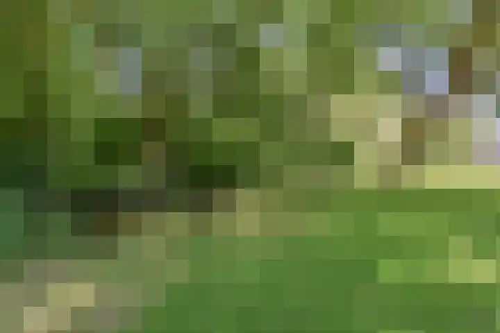 Aronskelkweg 266 Den Haag thumbnail 63