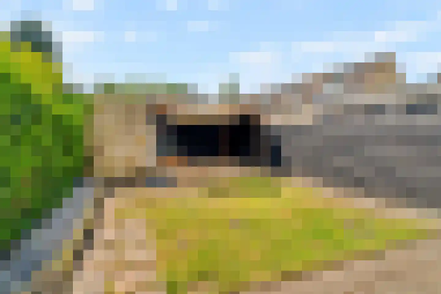 Aronskelkweg 27 Wassenaar thumbnail 22