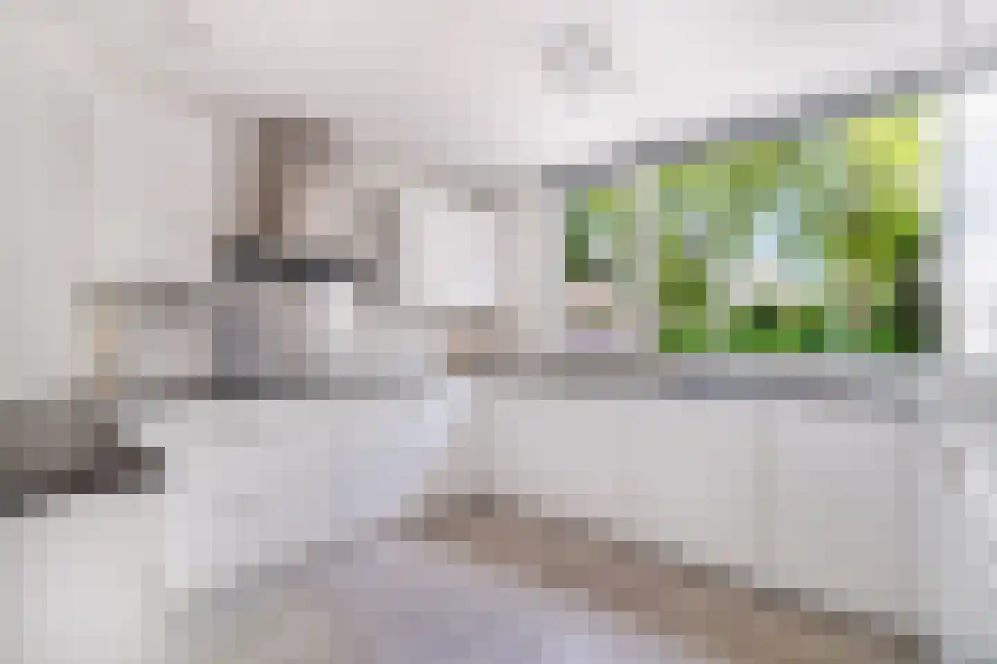 Aronskelkweg 27 Wassenaar thumbnail 6