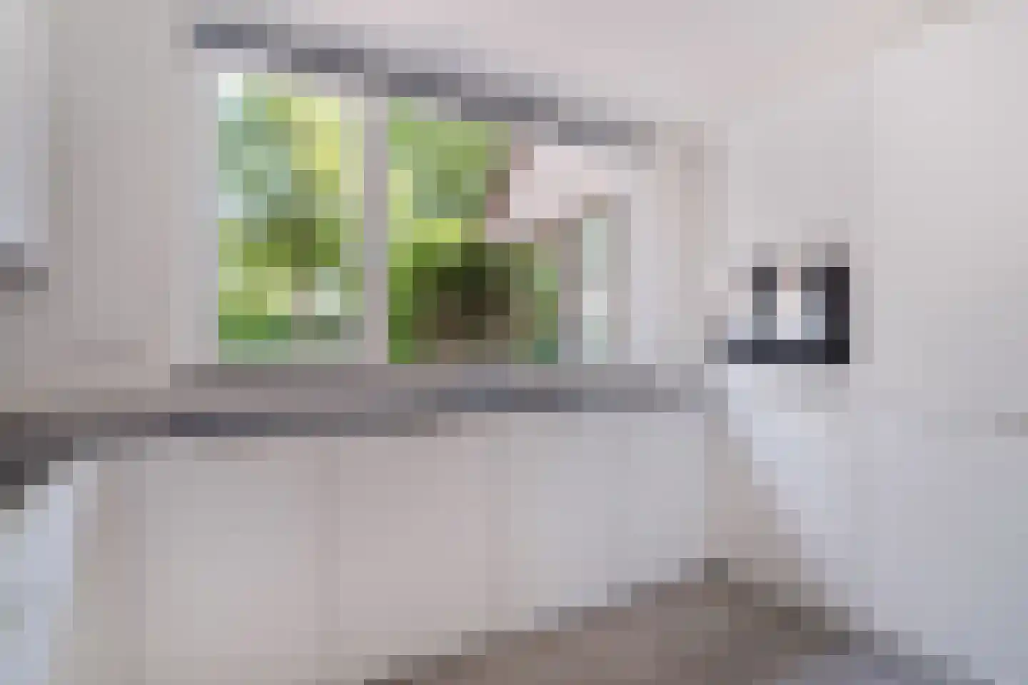Aronskelkweg 27 Wassenaar thumbnail 7