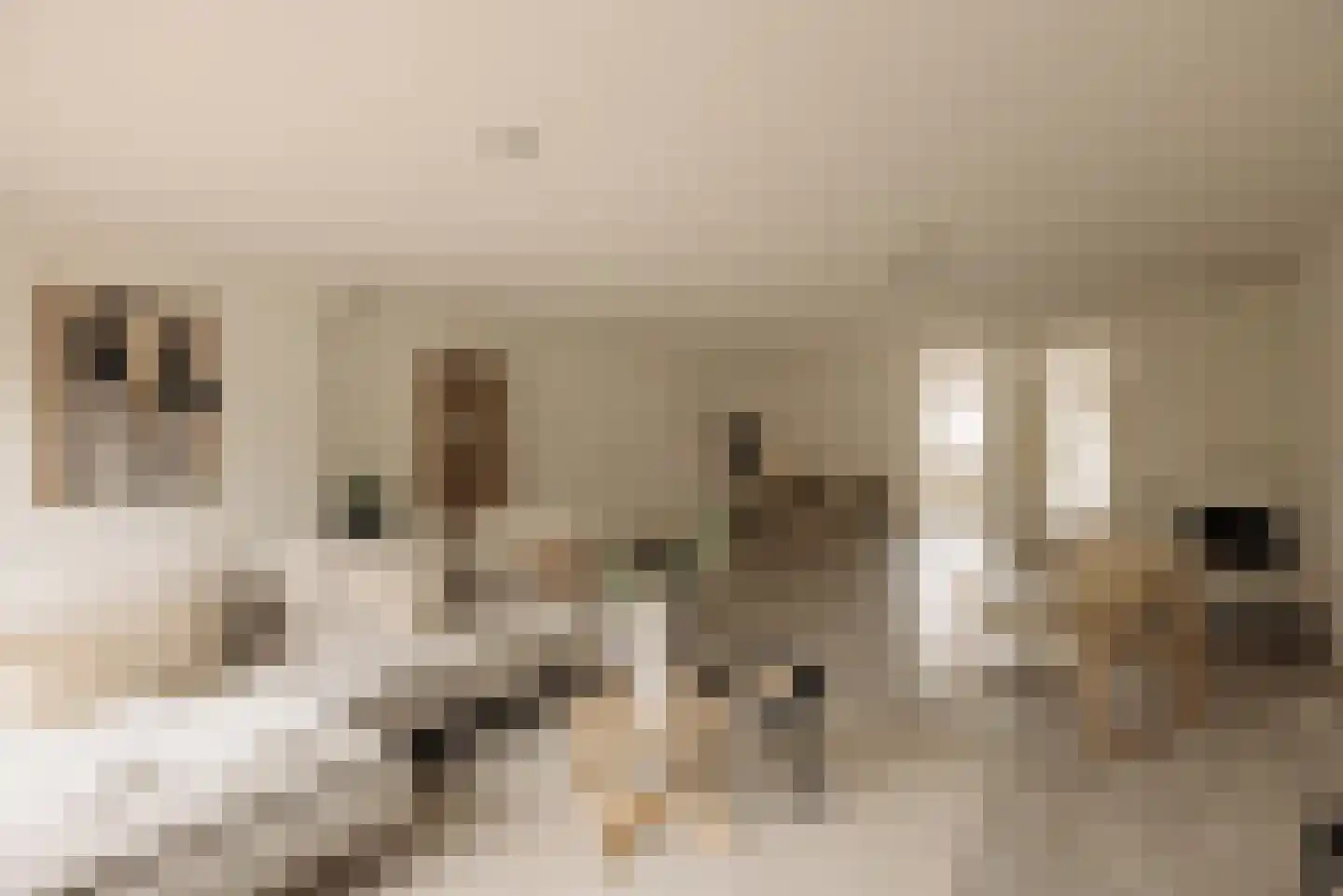 Aronskelkweg 3 Wassenaar thumbnail 10