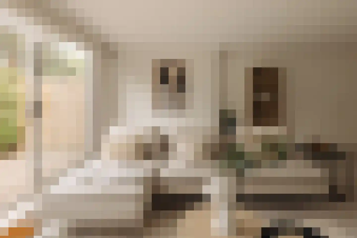 Aronskelkweg 3 Wassenaar thumbnail 11