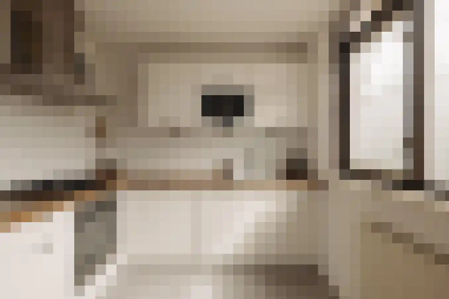 Aronskelkweg 3 Wassenaar thumbnail 14