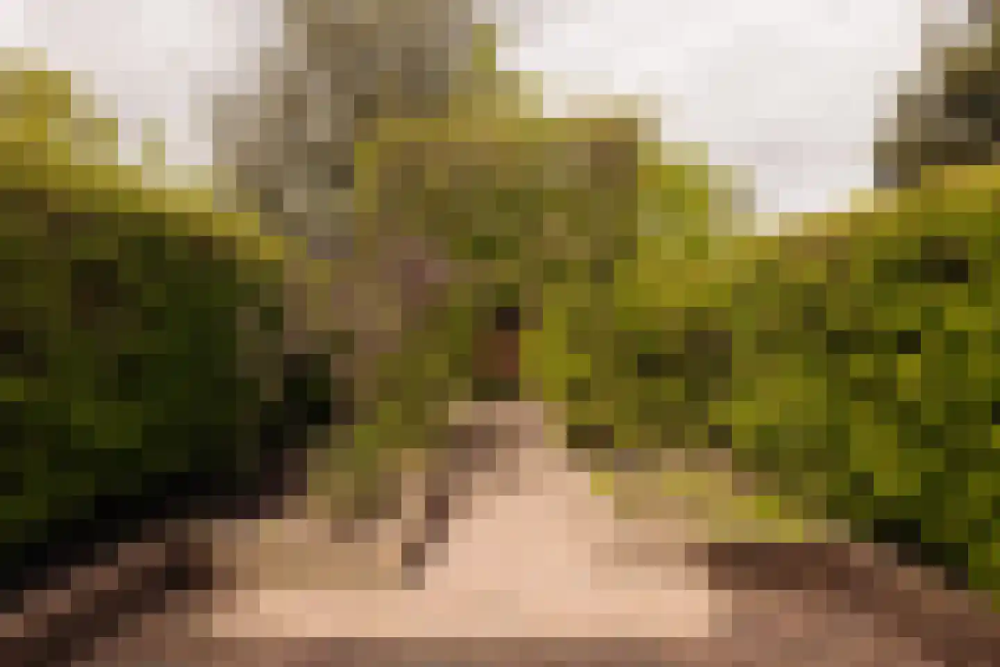 Aronskelkweg 3 Wassenaar thumbnail 16