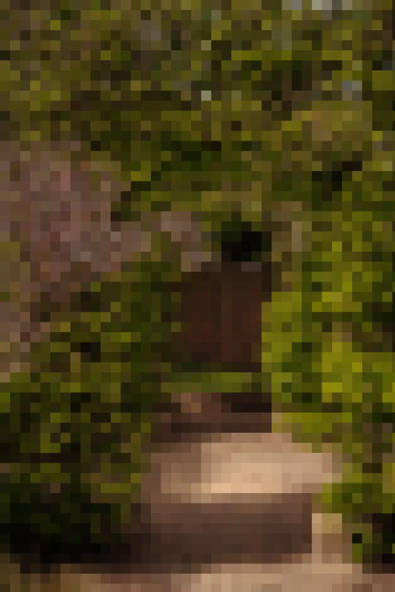 Aronskelkweg 3 Wassenaar thumbnail 17