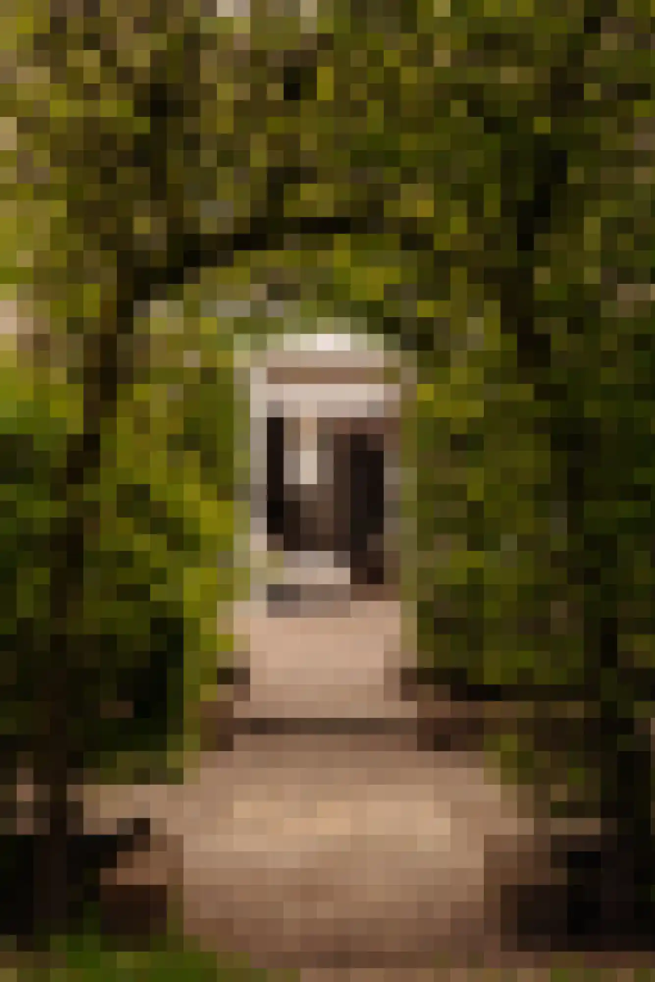 Aronskelkweg 3 Wassenaar thumbnail 18