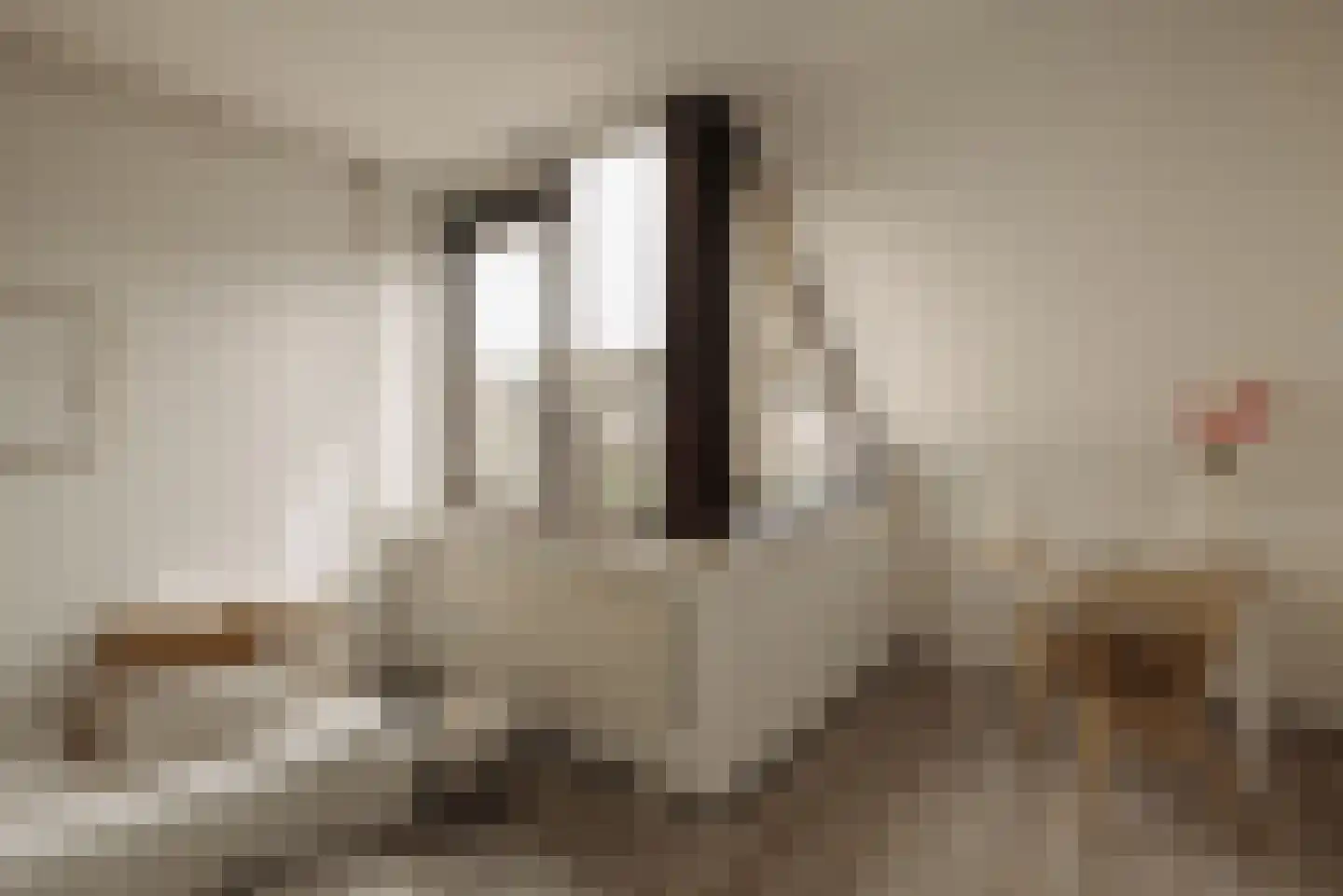 Aronskelkweg 3 Wassenaar thumbnail 26