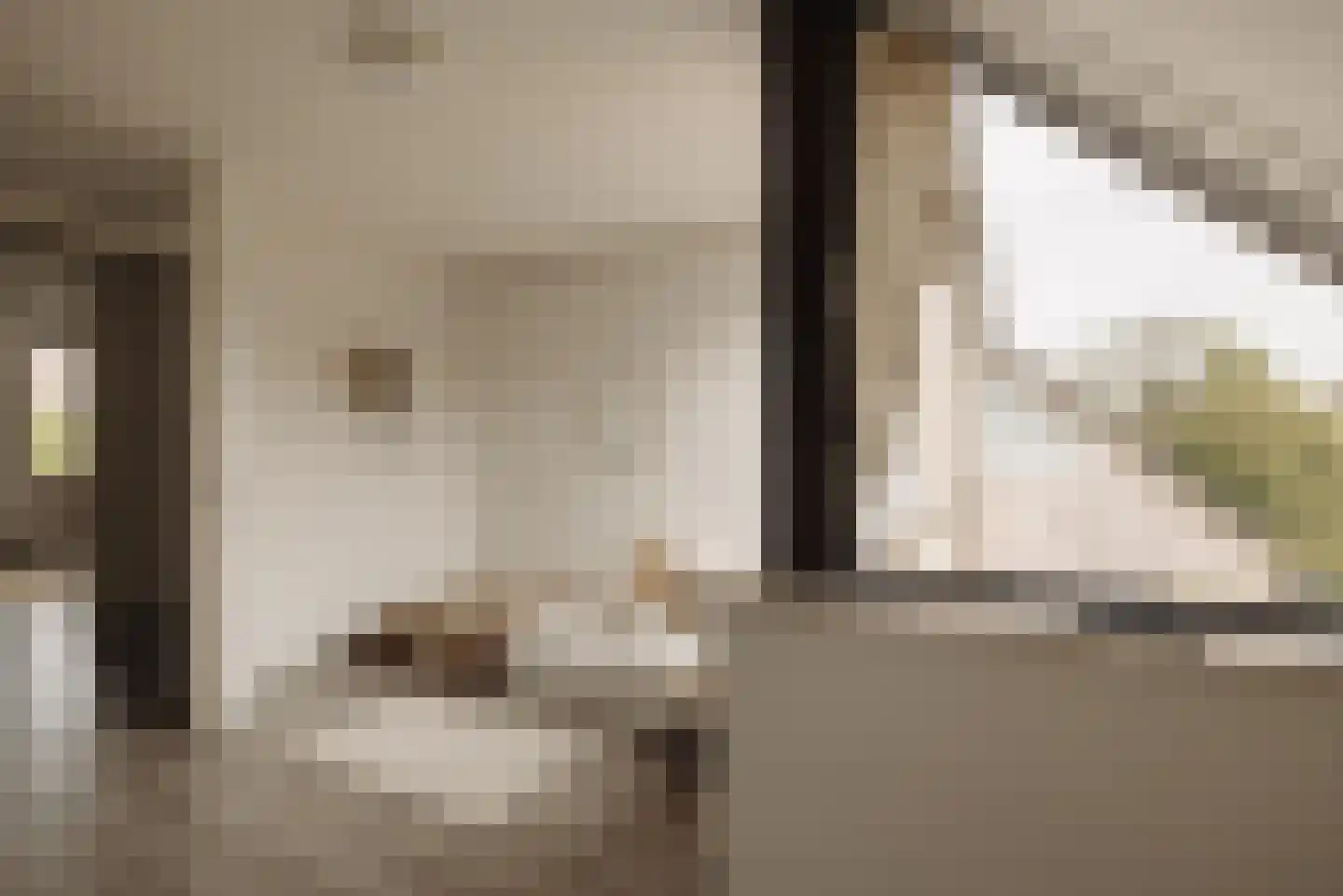 Aronskelkweg 3 Wassenaar thumbnail 31