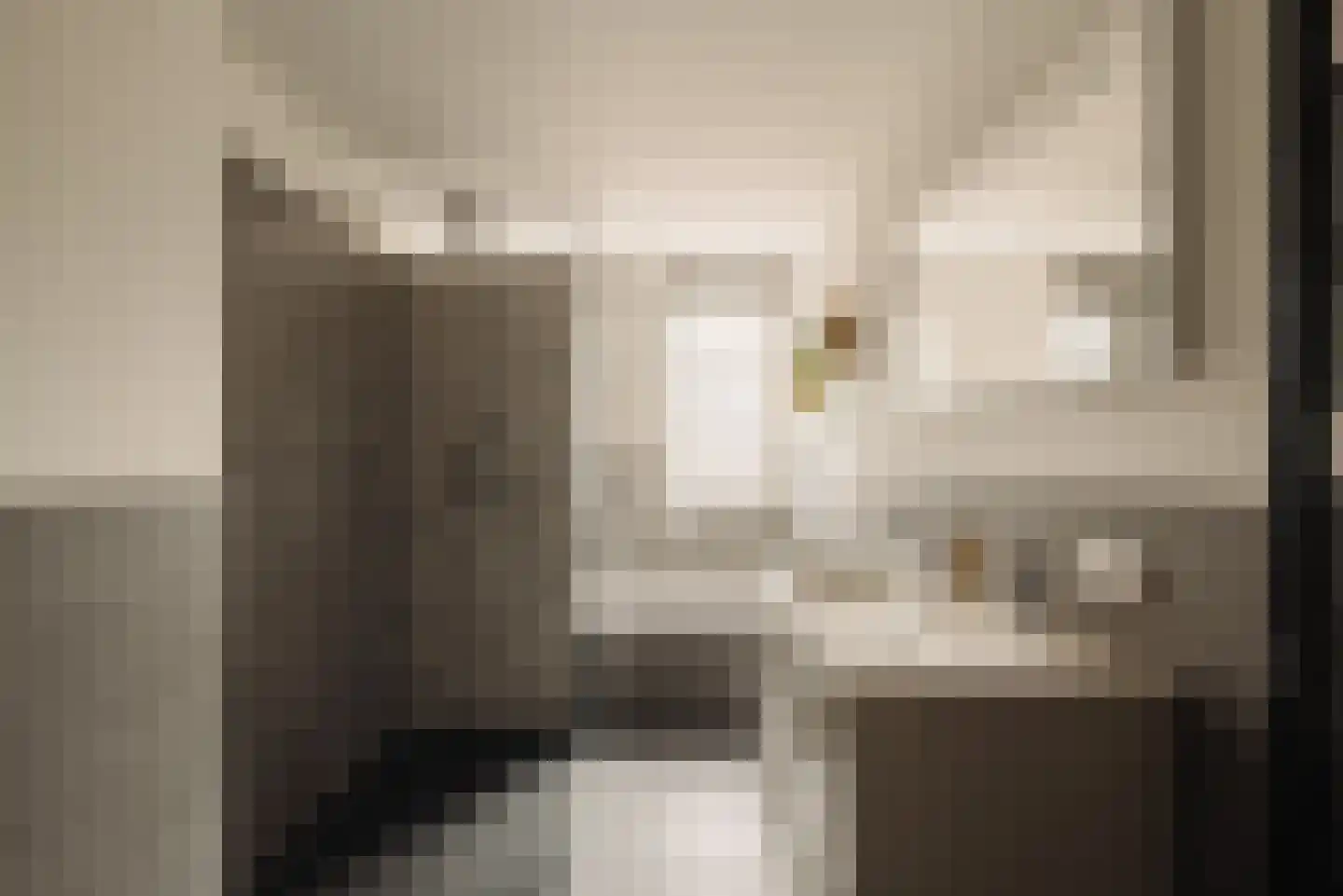 Aronskelkweg 3 Wassenaar thumbnail 32