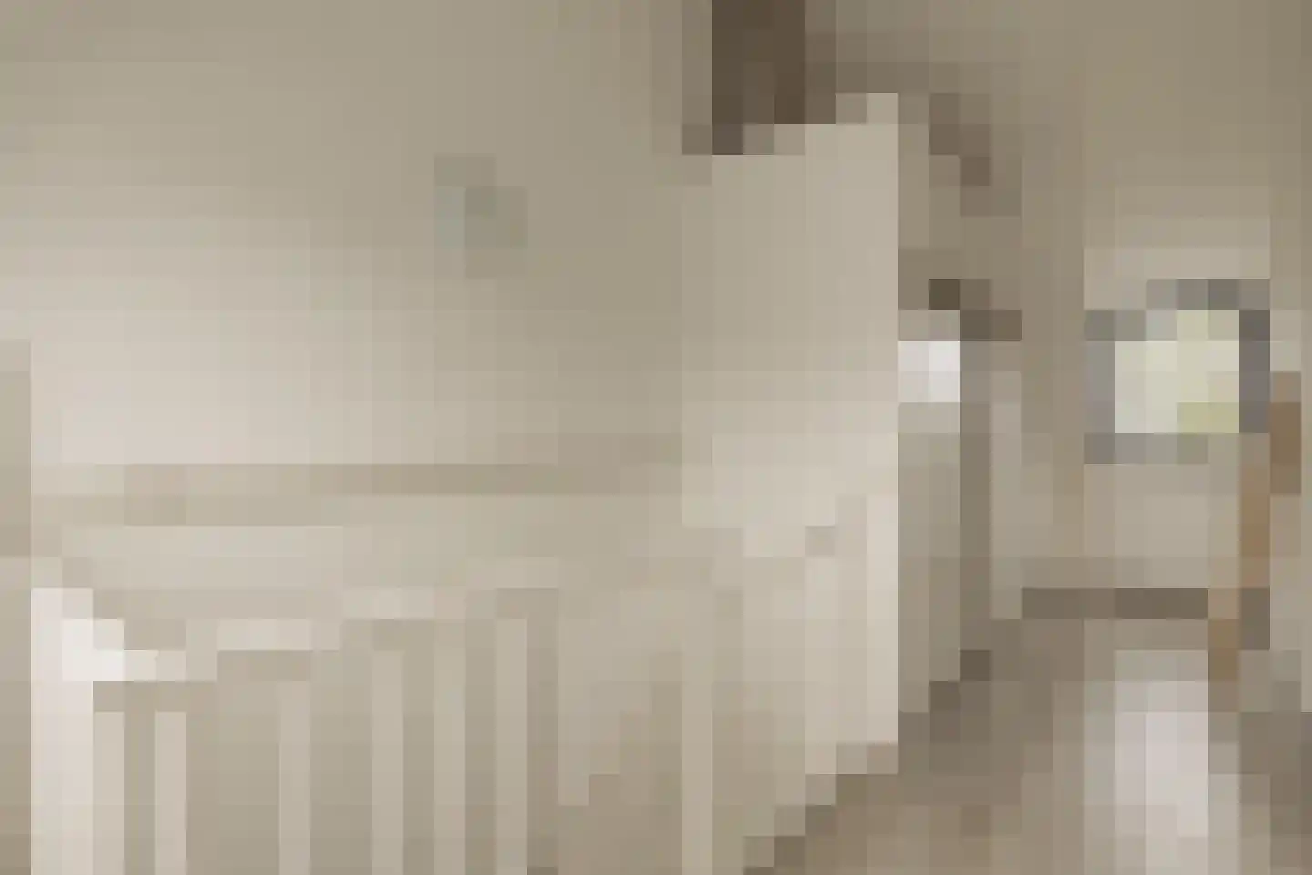 Aronskelkweg 3 Wassenaar thumbnail 35