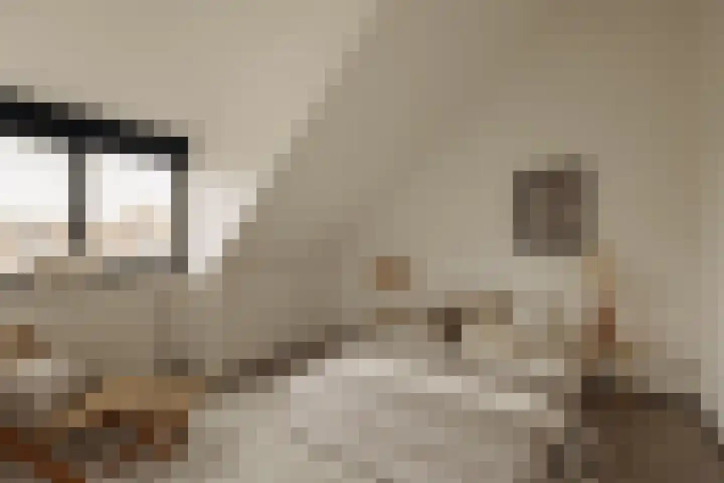 Aronskelkweg 3 Wassenaar thumbnail 36