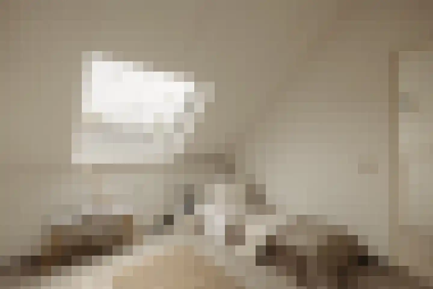 Aronskelkweg 3 Wassenaar thumbnail 39