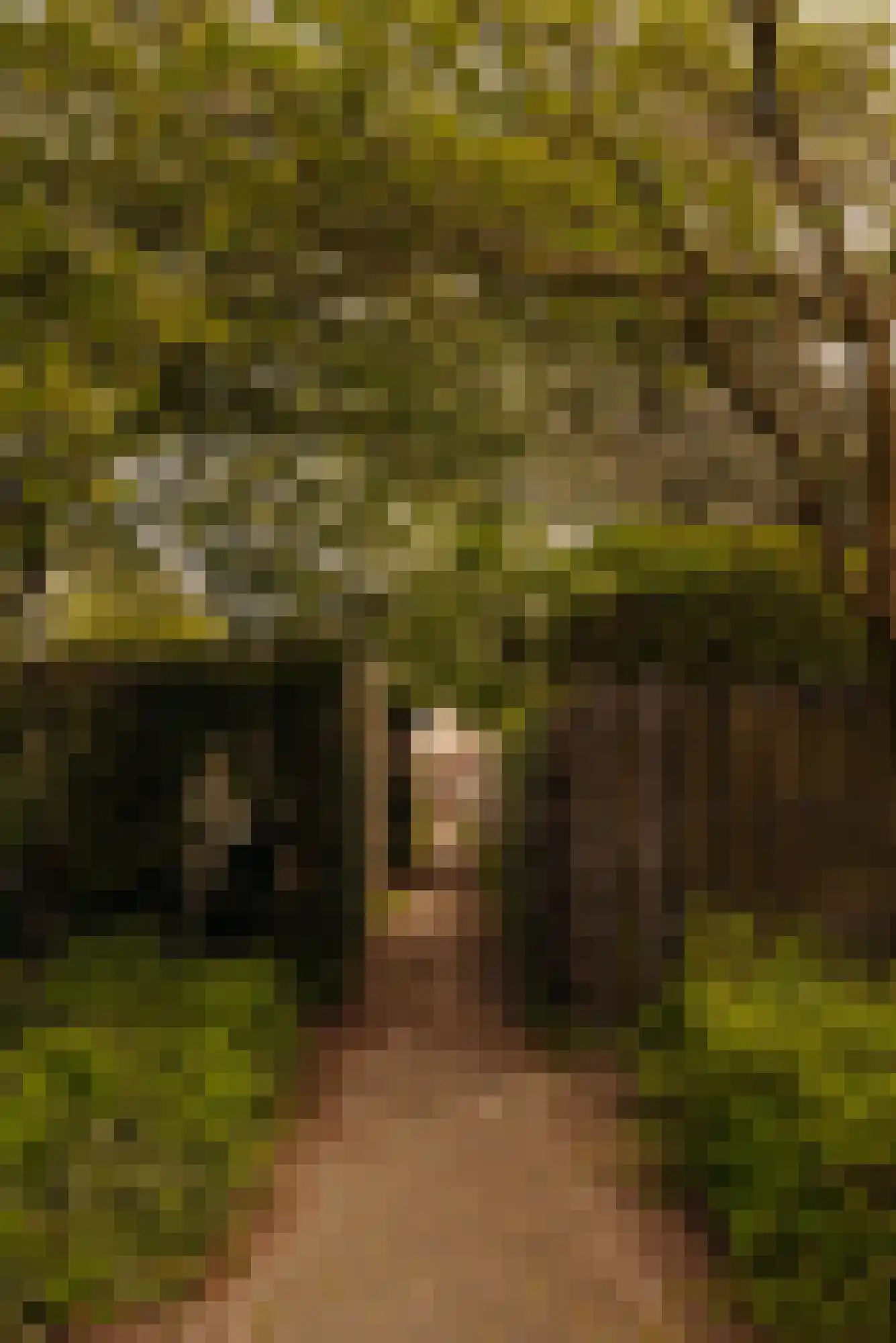 Aronskelkweg 3 Wassenaar thumbnail 40