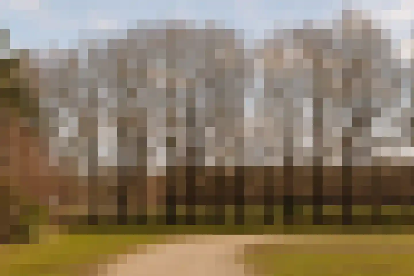 Aronskelkweg 3 Wassenaar thumbnail 41