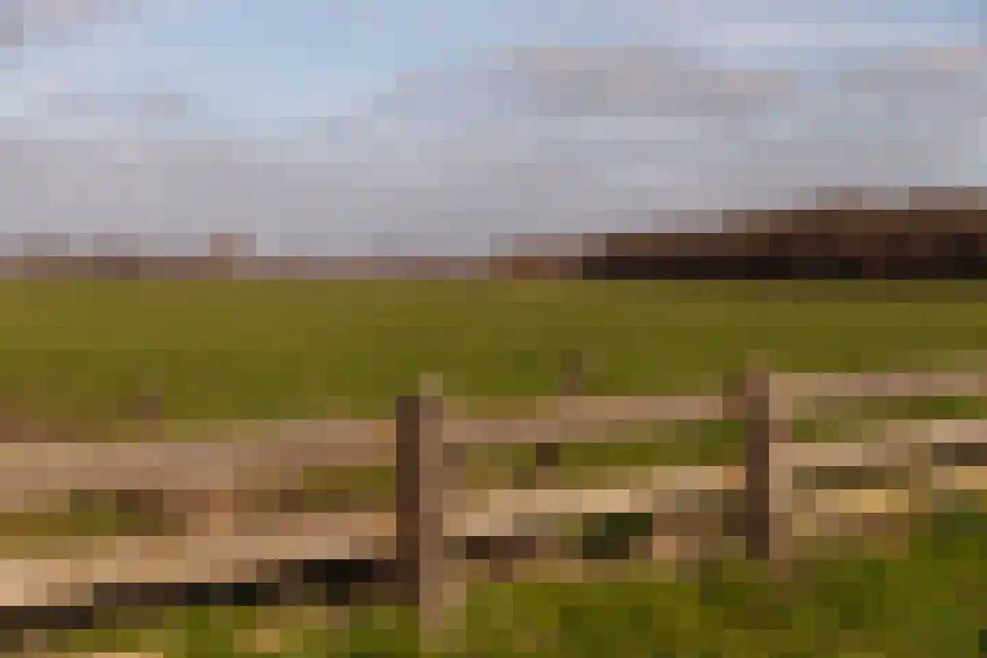 Aronskelkweg 3 Wassenaar thumbnail 42
