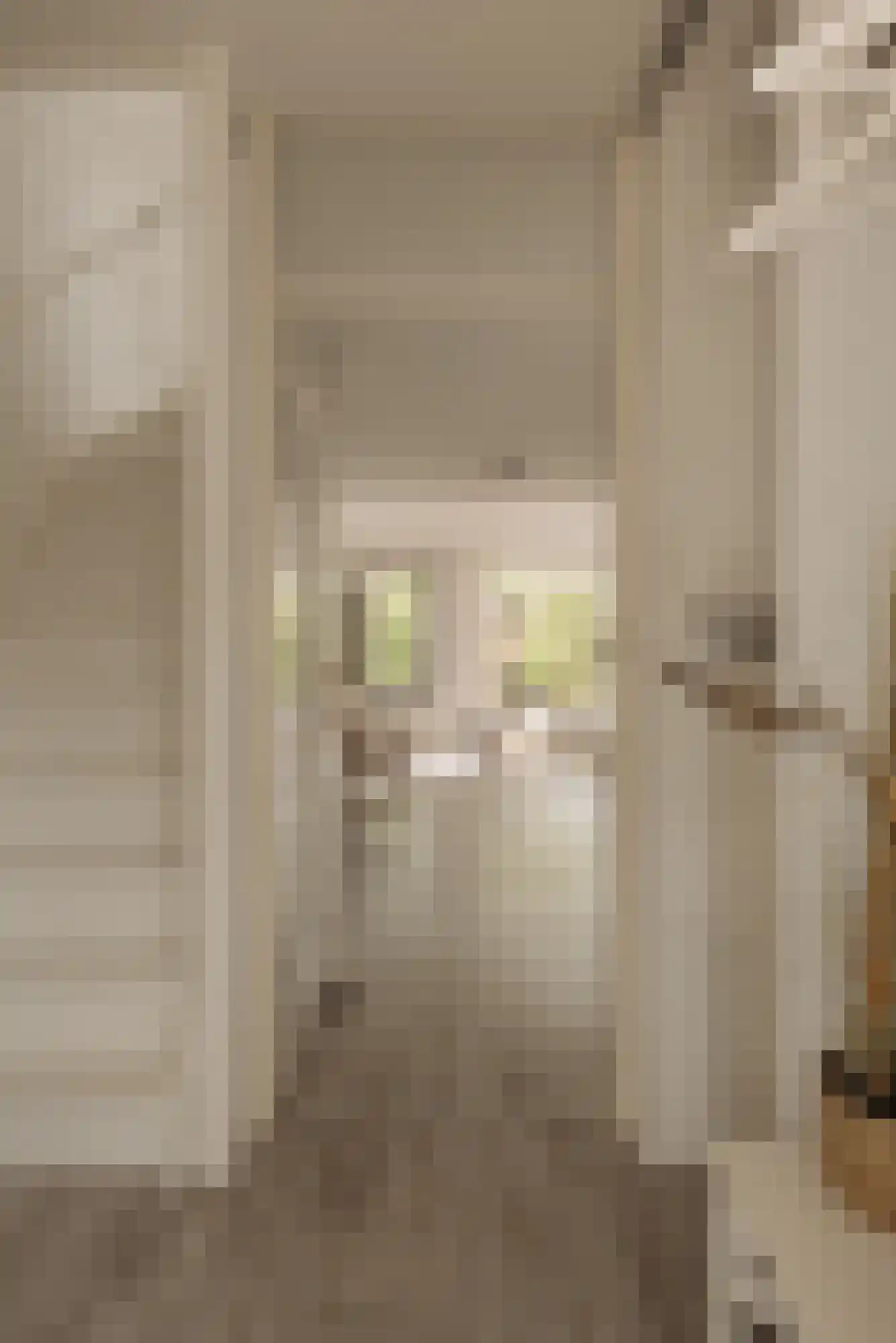 Aronskelkweg 3 Wassenaar thumbnail 5