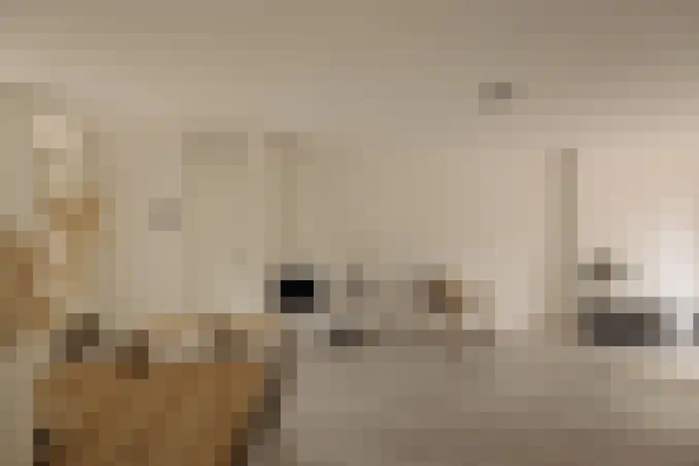 Aronskelkweg 3 Wassenaar thumbnail 6