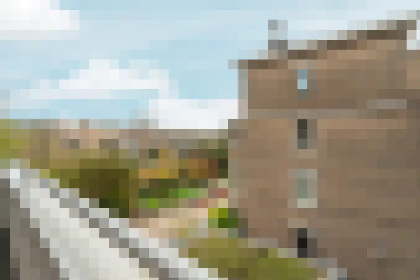 Aronskelkweg 42 Den Haag thumbnail 33